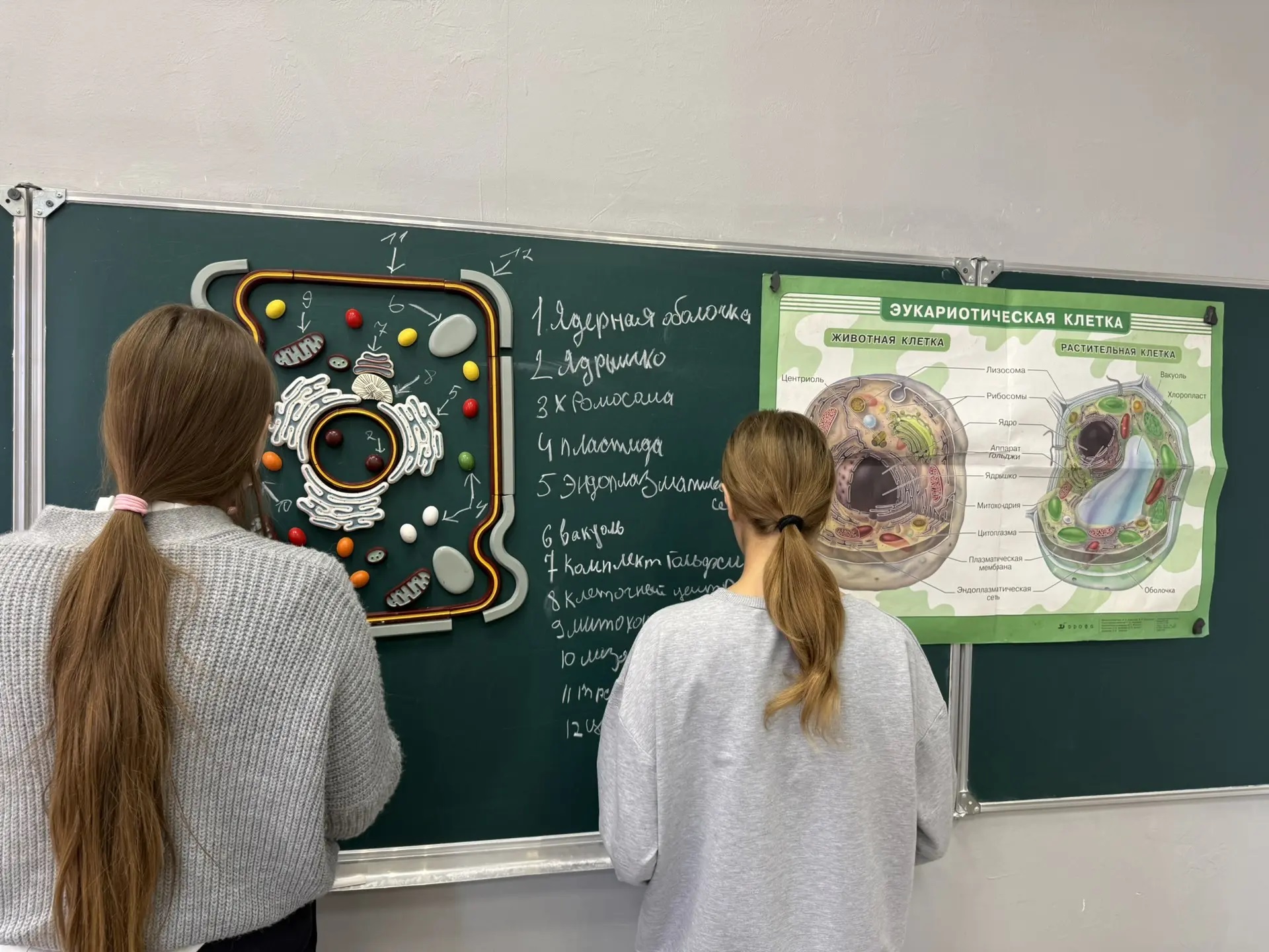 На уроках биологии.