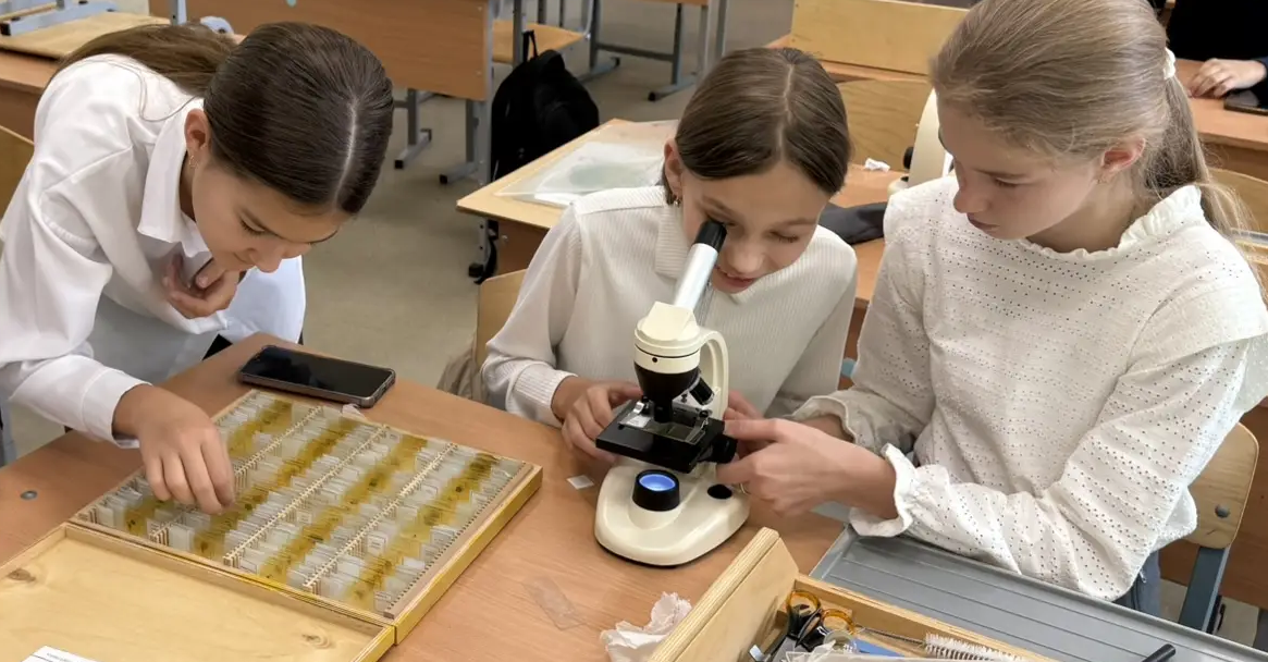 Клетки лука под микроскопом.