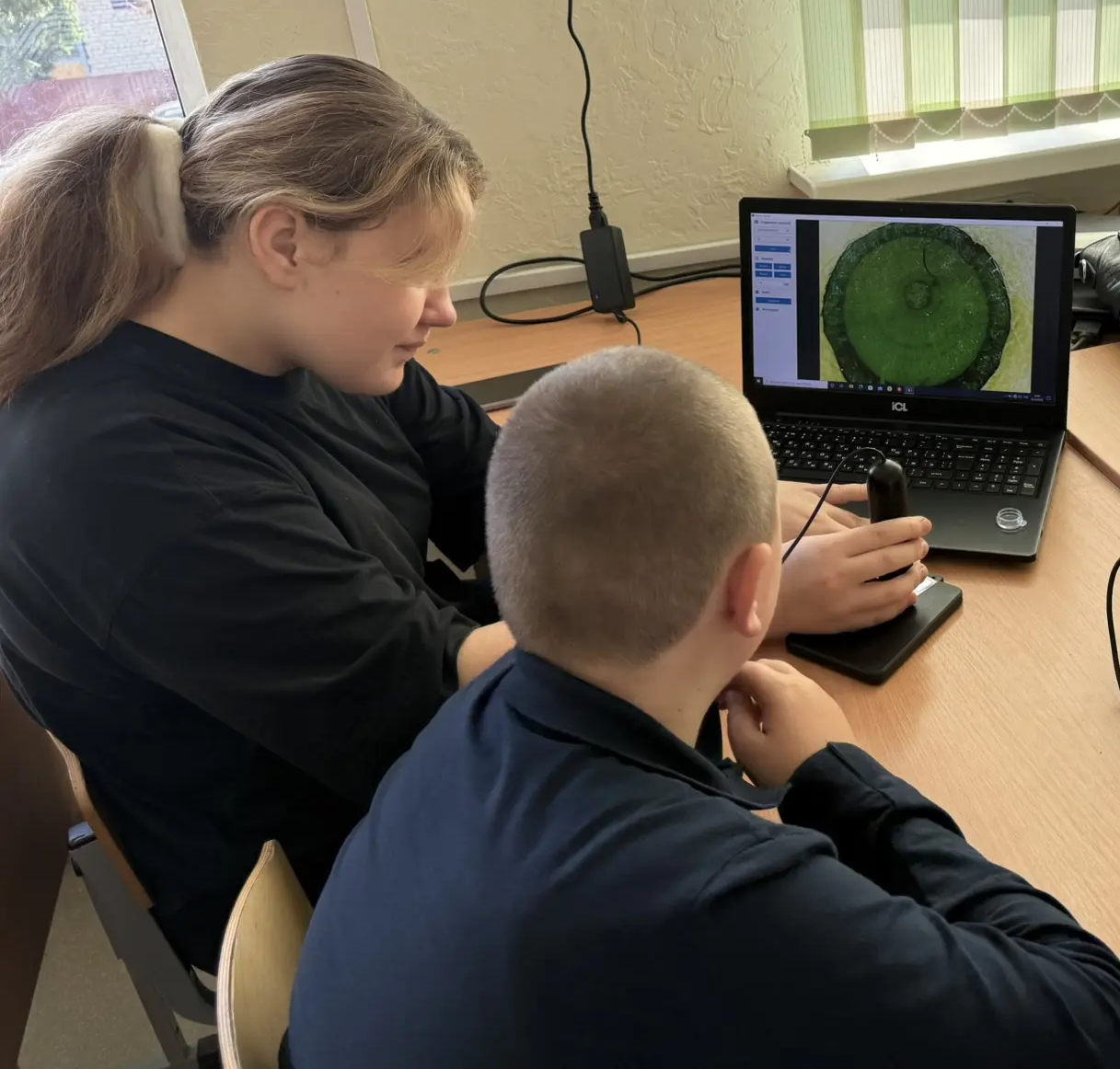 На внеурочном занятии 6а класс рассмотрели срез липы, нашли древесину, сердцевину, луб, кору. .